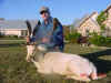 Todd shot this Fallow Deer at the Cullen Ranch