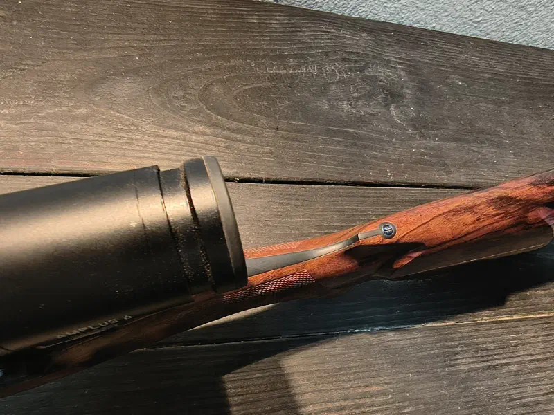 Custom 416 Remington