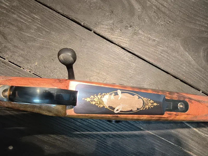Custom 416 Remington