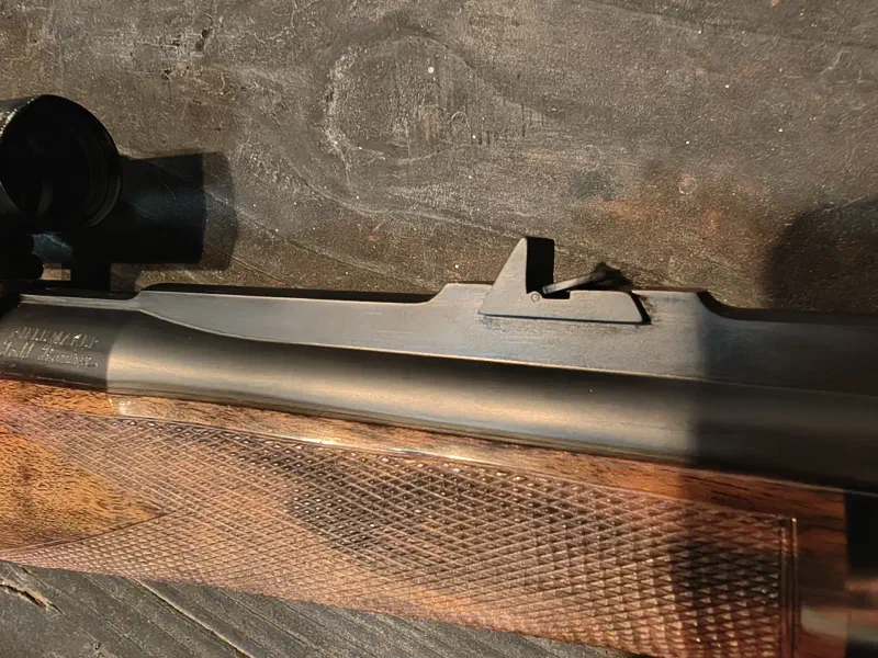 Custom 416 Remington