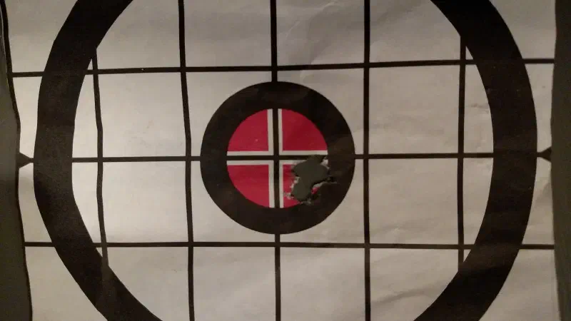 308 Winchester American Classic Custom Rifle Target