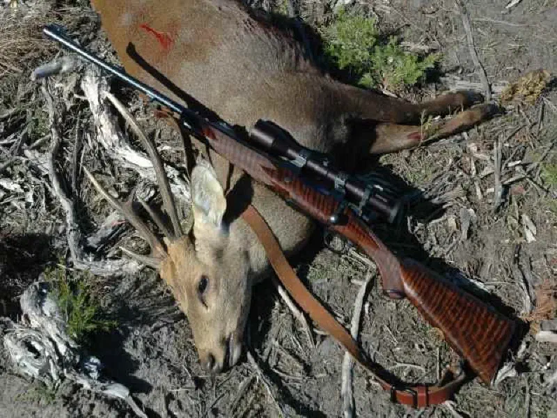 Todd Ramirez Premium 7 x 57 Craig Boddington Rifle