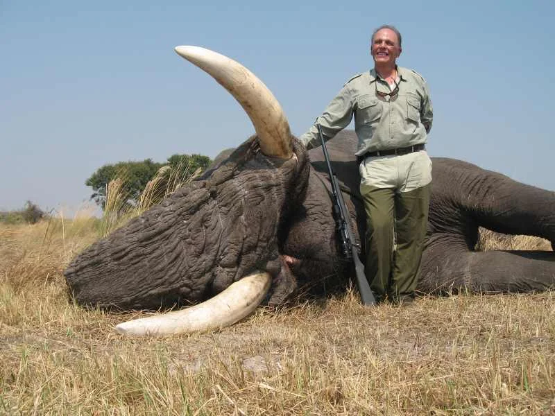 Elephant Trophy