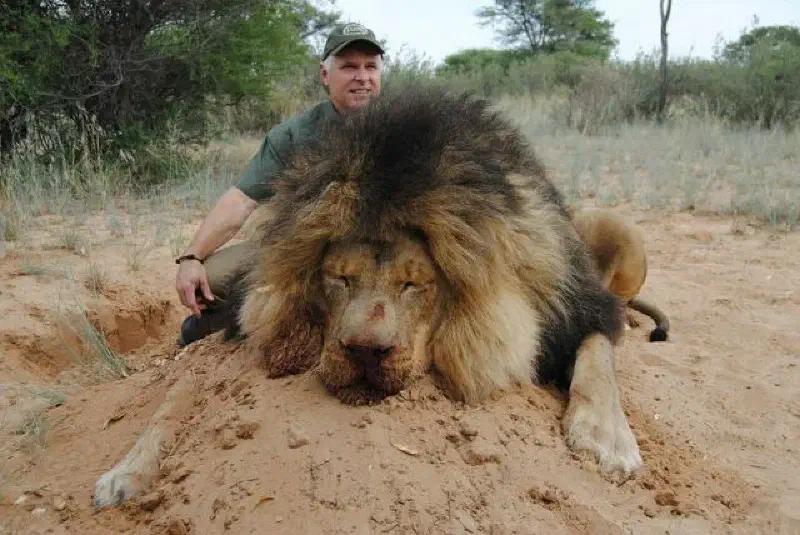 Africa Trophy