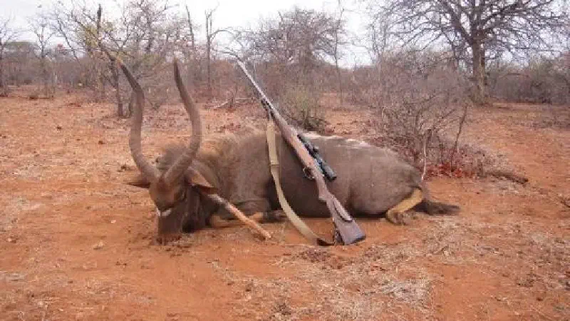 Africa Trophy