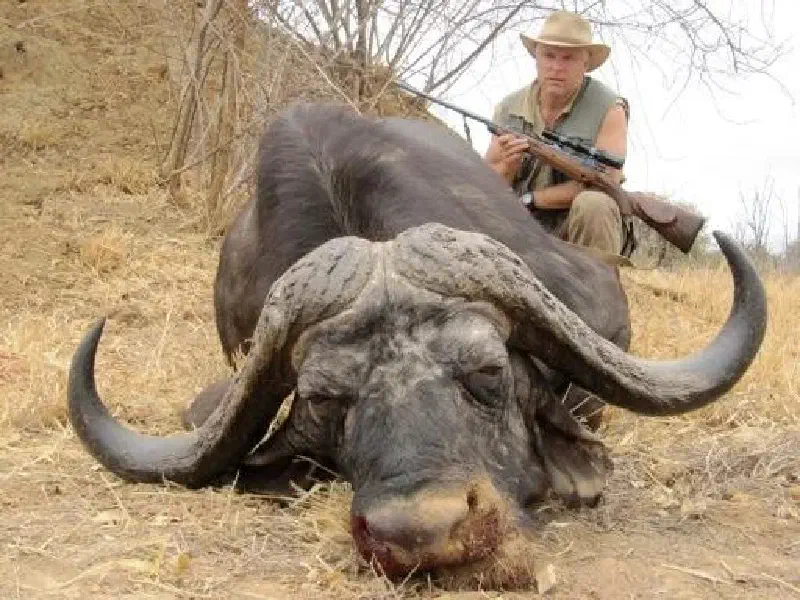 Africa Trophy